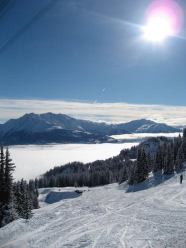 Das Nebelmeer im Tal